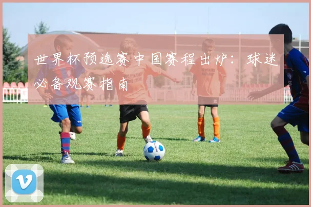 世界杯预选赛中国赛程出炉：球迷必备观赛指南